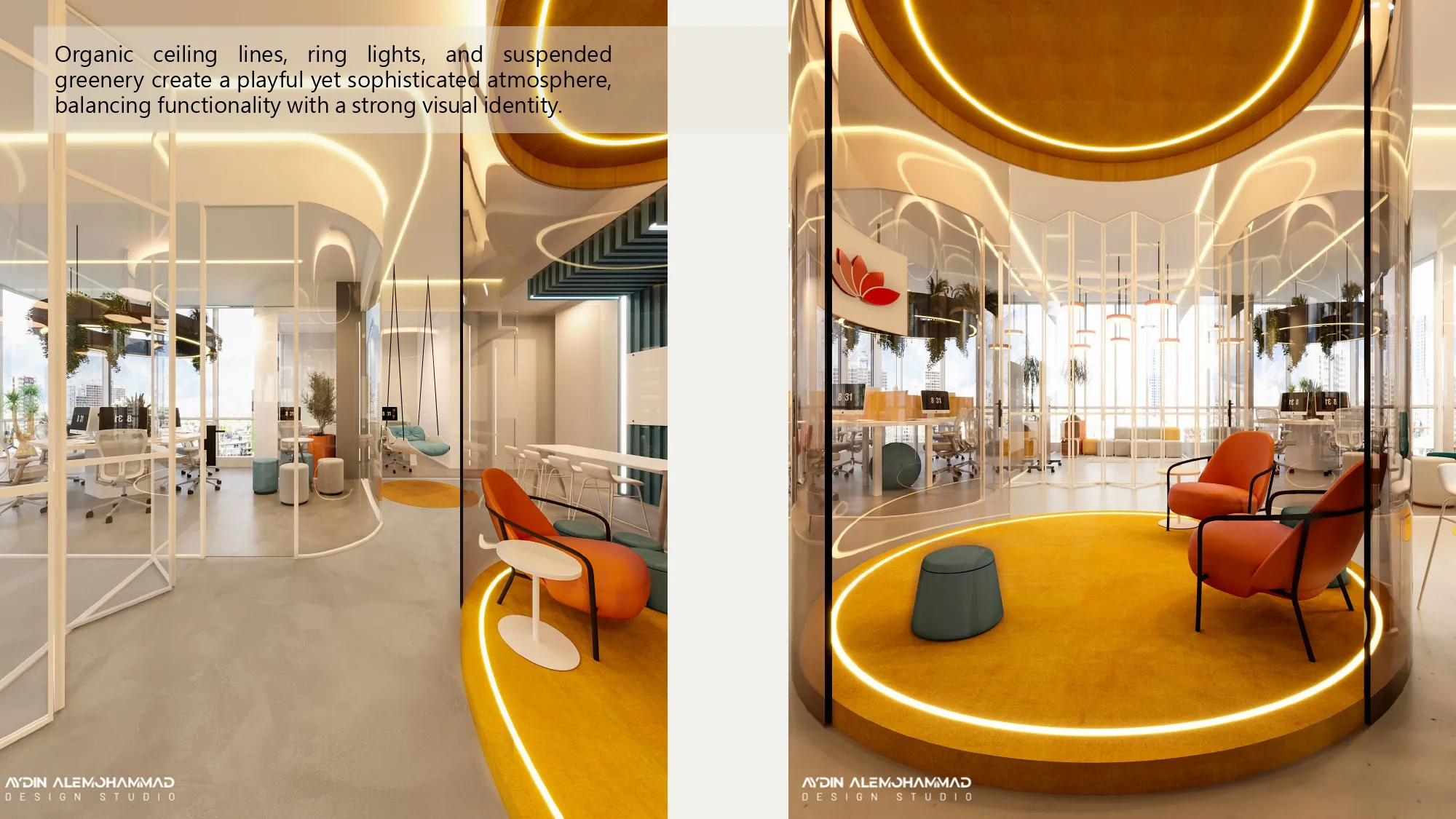 IBC Office — photo 1