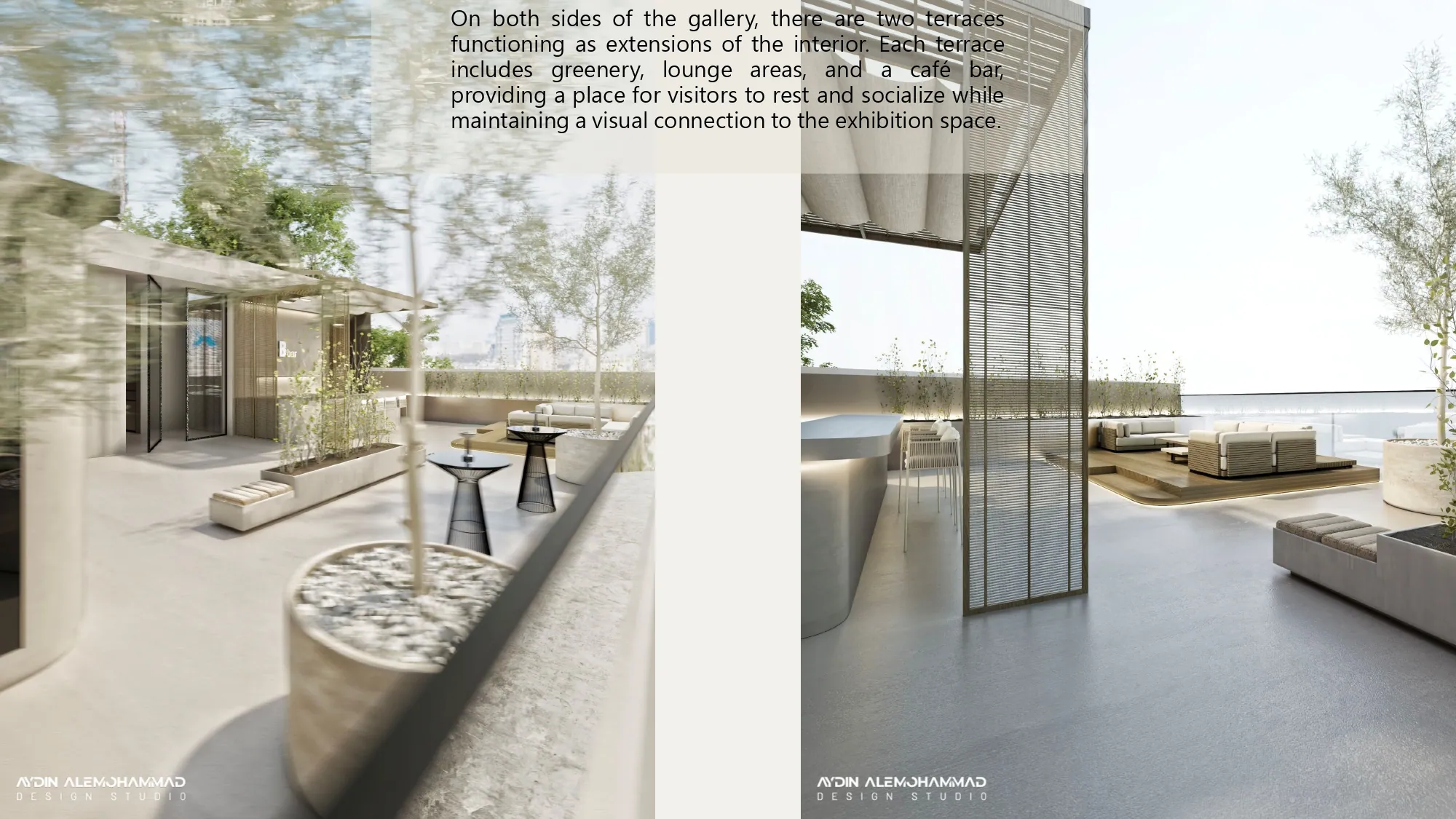 Afra Gallery — photo 6